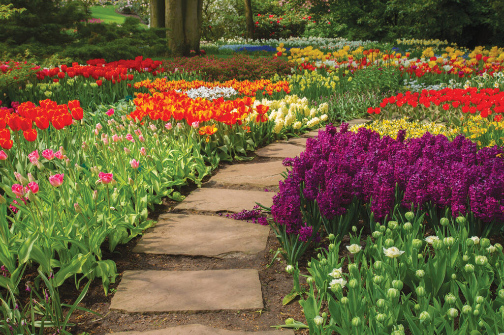 landscape garden walkway